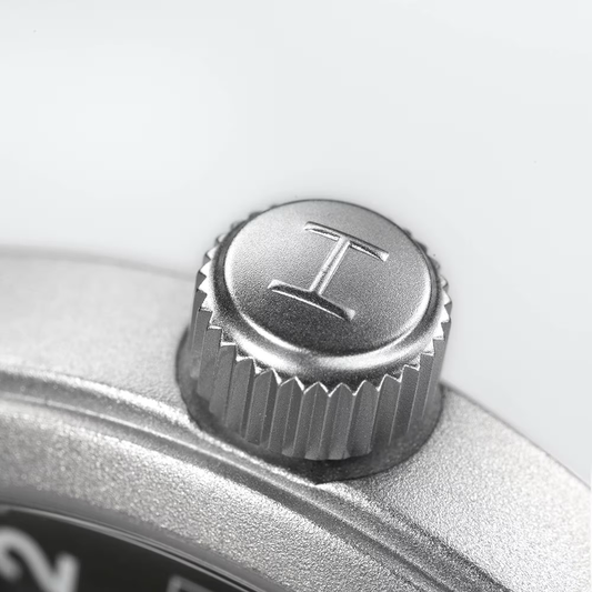 Hamilton H69439933-2