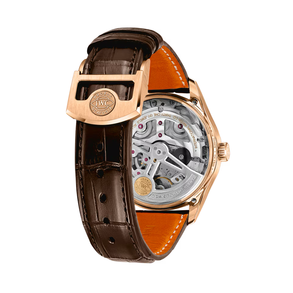 IWC Schaffhausen IW501706-4