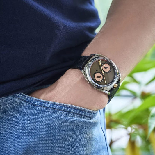 LE RÉGULATEUR LOUIS ERARD X KONSTANTIN CHAYKIN FROG EDITION BROWN - NOIRMONT X C