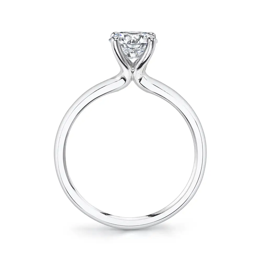 Sylvie S1955-14W-C-2