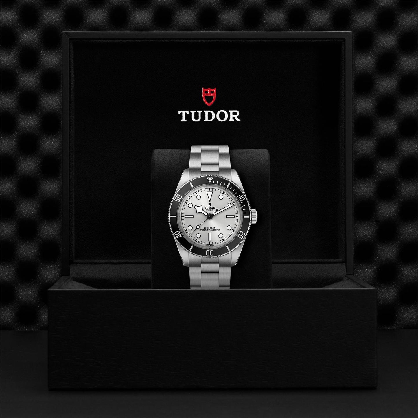 TUDOR M7943A1A0NU-0002-4