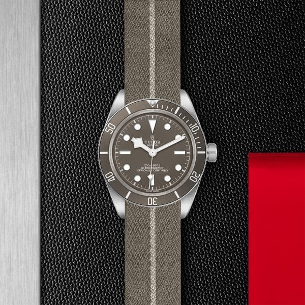 Tudor M79010SG-0002_2