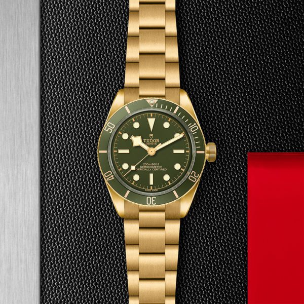 TUDOR M79018V-0006-3