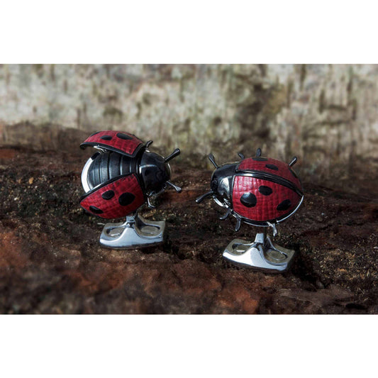 Deakin & Francis BMC0016C0001_2