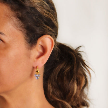 Elizabeth Locke ERP113973-2