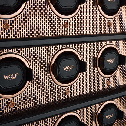 Axis 12 PC Watch Winder Cabinet