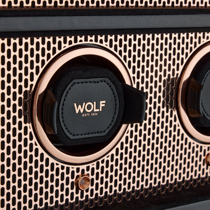 Axis 12 PC Watch Winder Cabinet