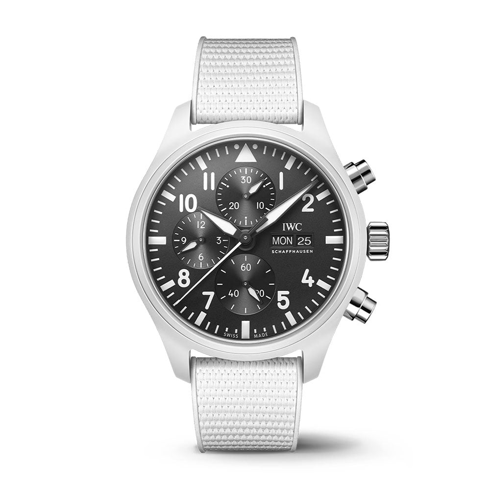 IWC IW389105-1