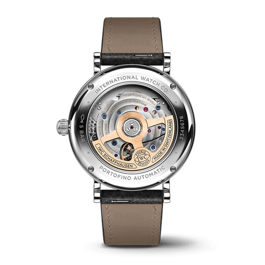 IWC Schaffhausen IW458610-2
