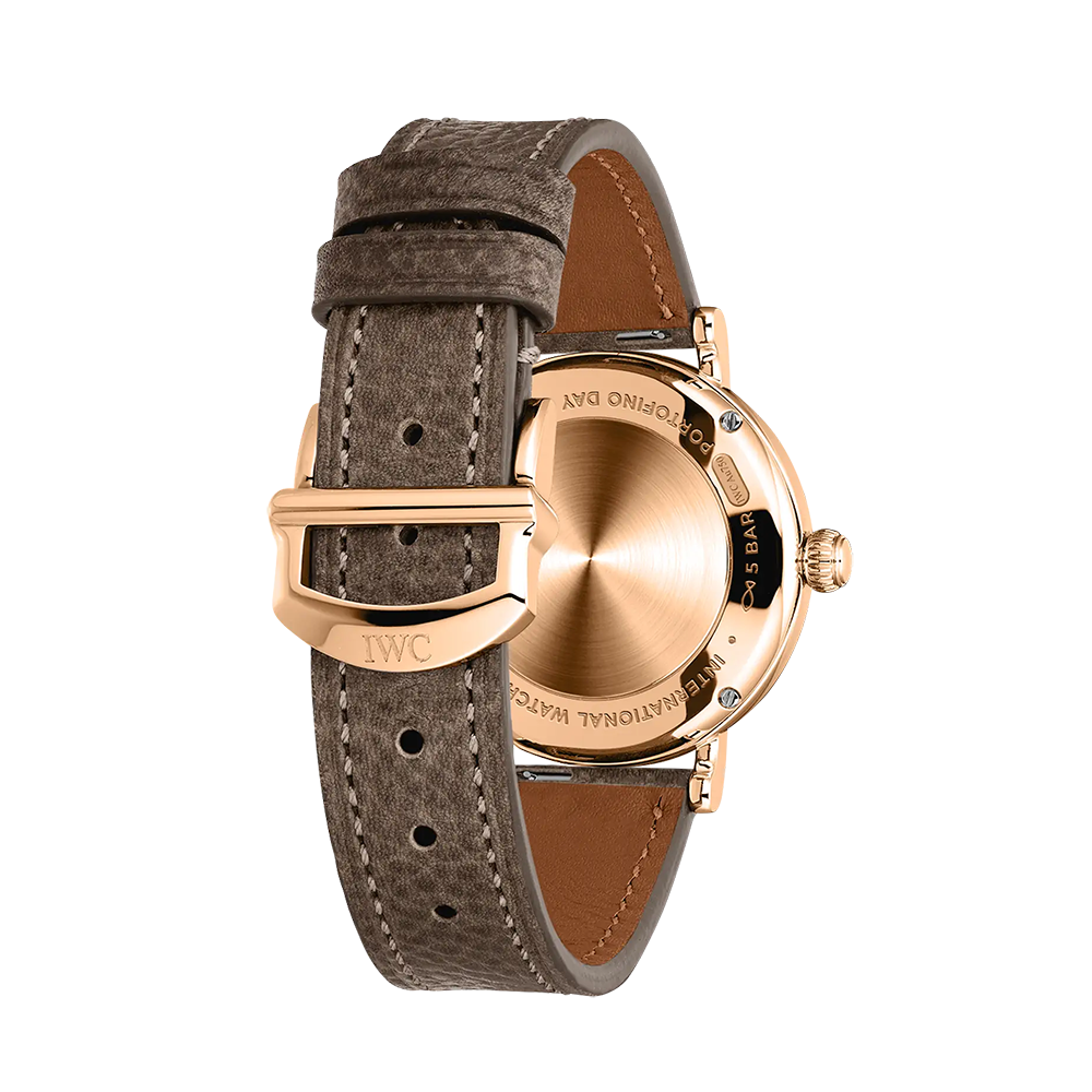 IWC Schaffhausen IW459805-4