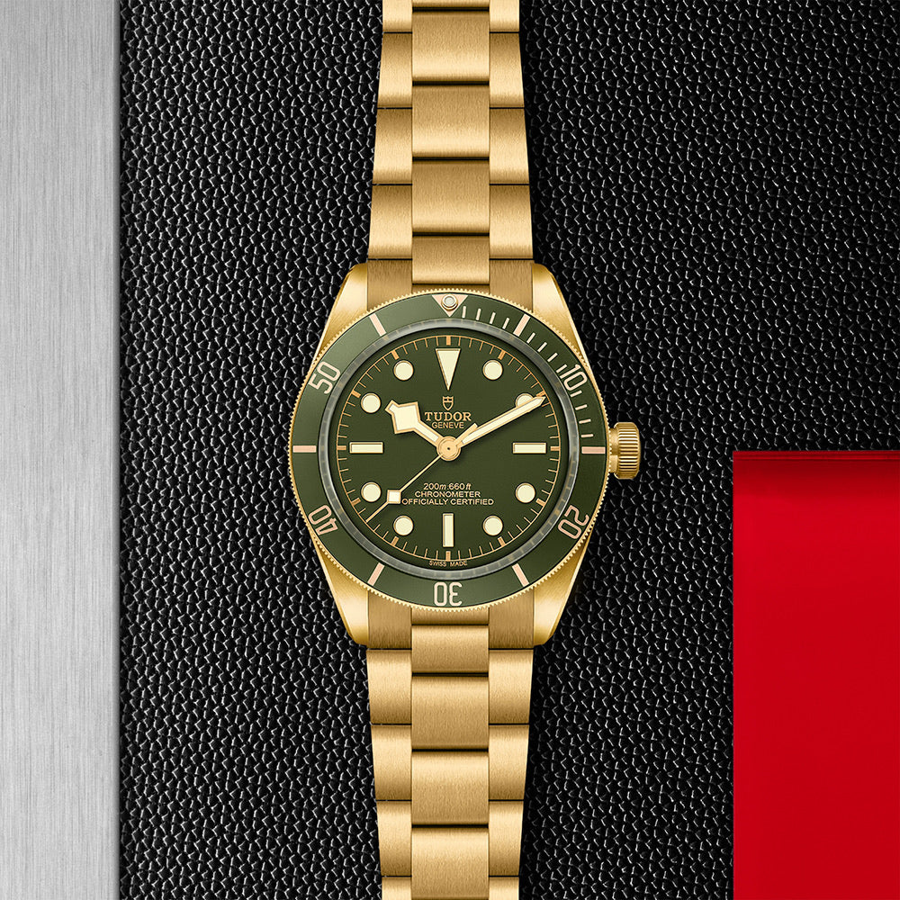 TUDOR M79018V-0006-3