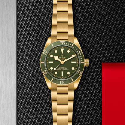 TUDOR M79018V-0006-3