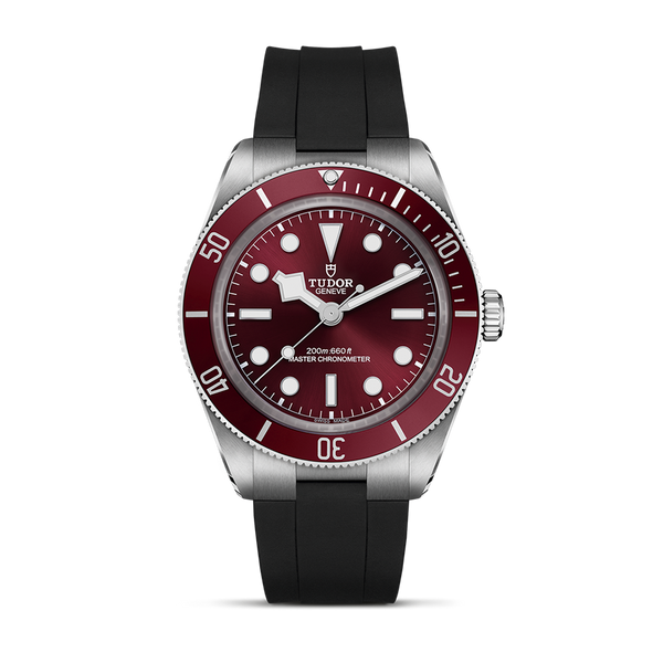 TUDOR-M7939A1A0RU-0003-