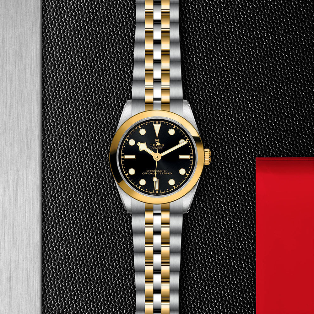 TUDOR M79603-0001-3