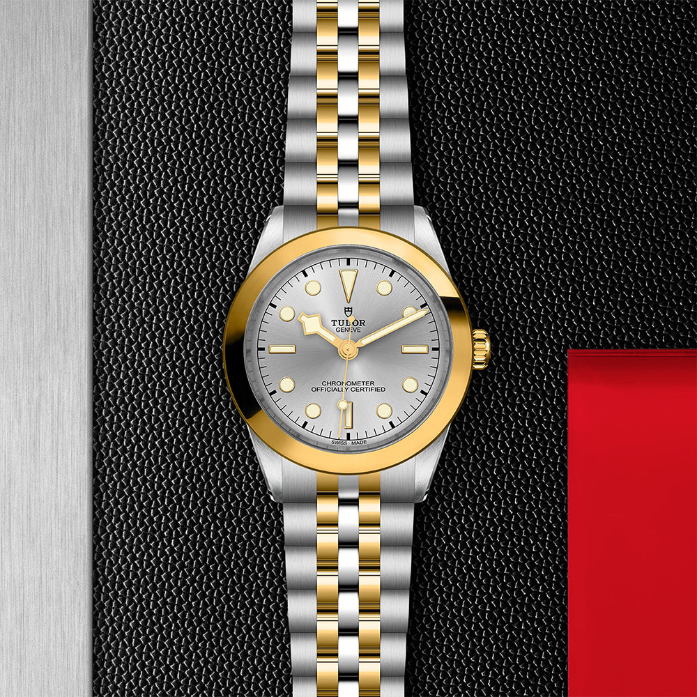 TUDOR M79663-0002-3