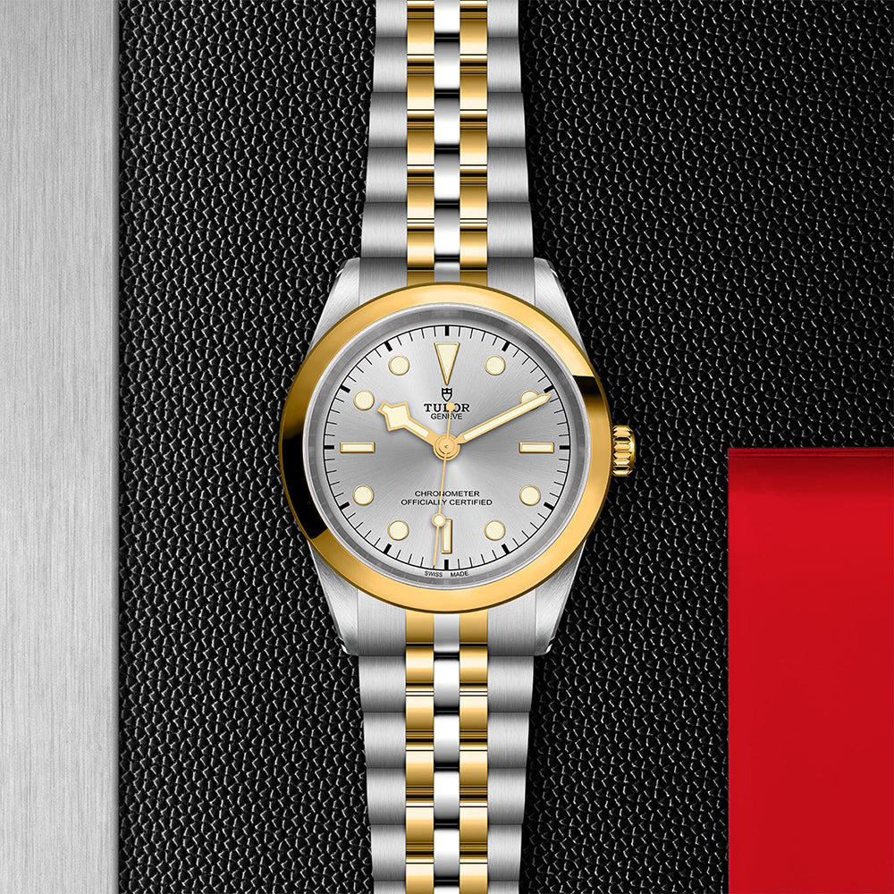 TUDOR M79683-0002_3