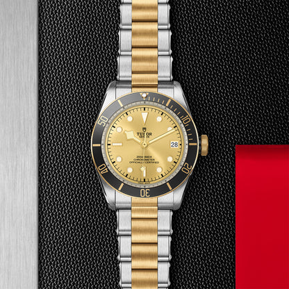 TUDOR M79733N-0004-2