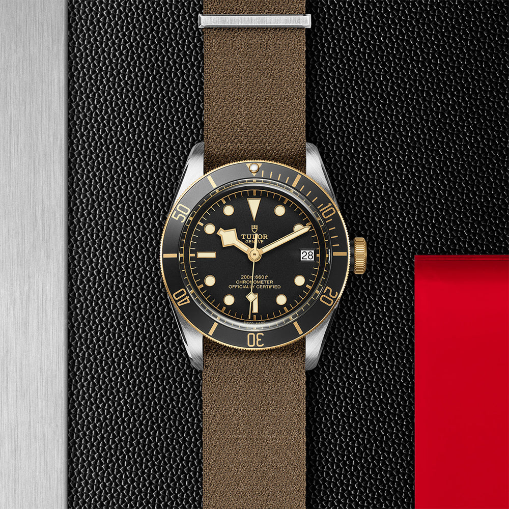 TUDOR M79733N-0005-2