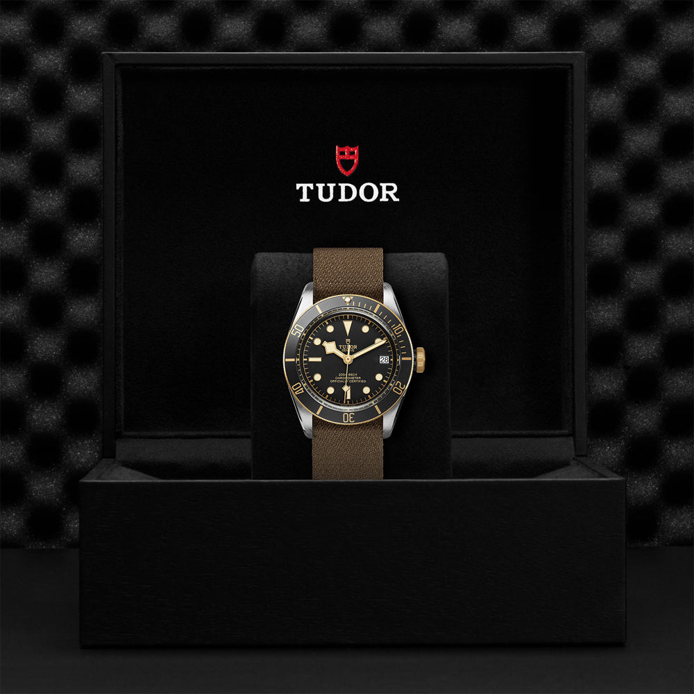 TUDOR M79733N-0005-4