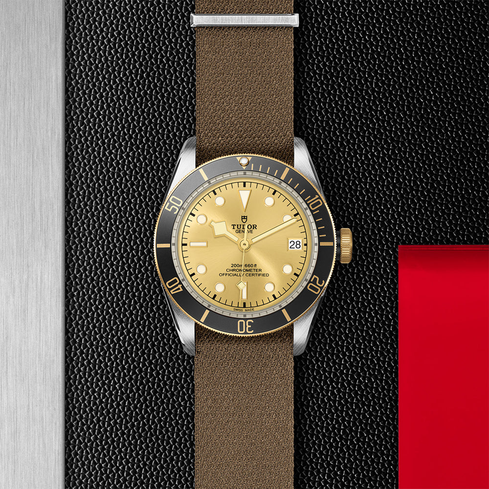 TUDOR M79733N-0006-2