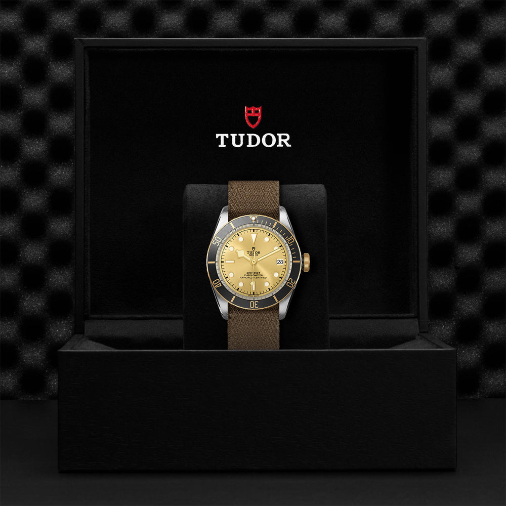 TUDOR M79733N-0006-4