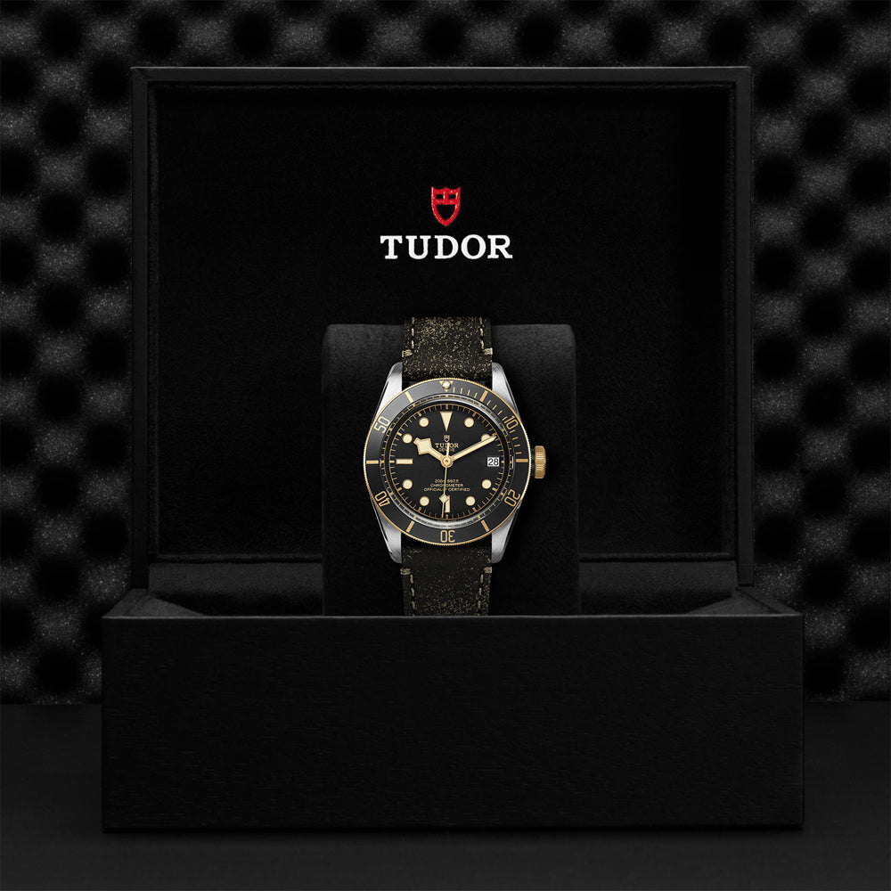 TUDOR M79733N-0007-4