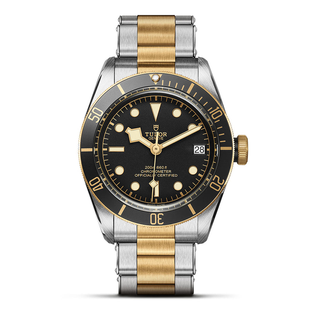 TUDOR M79733N-0008-1