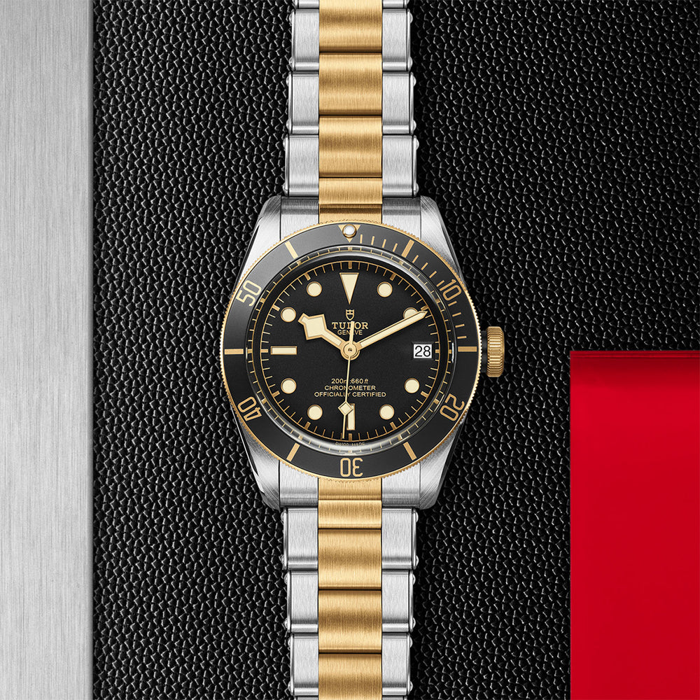 TUDOR M79733N-0008-2