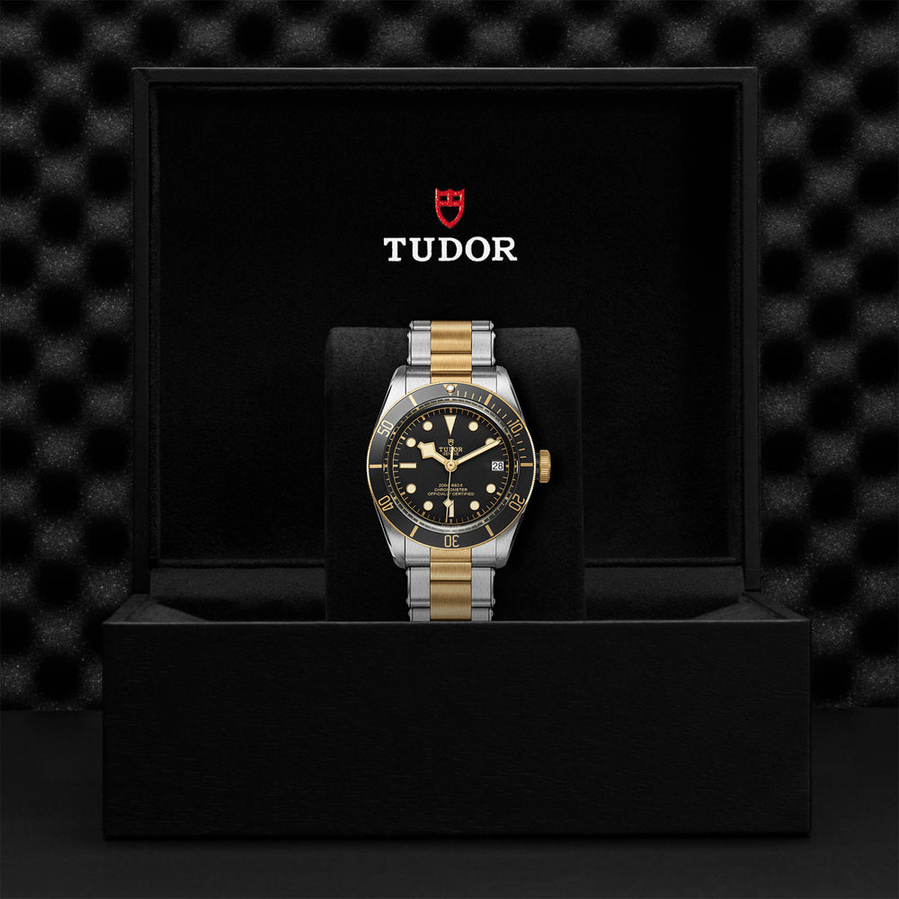 TUDOR M79733N-0008-4