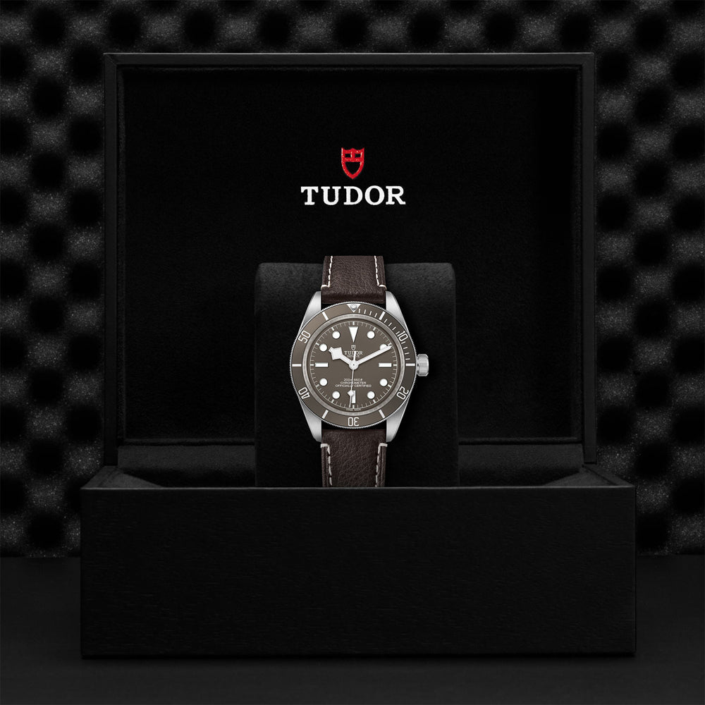 Tudor M79010SG-0001_4