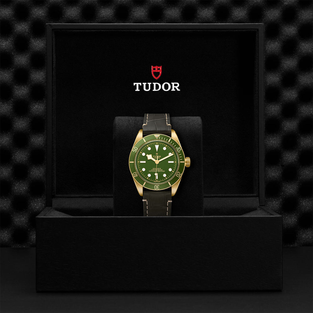 Tudor M79018V-0001_5